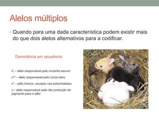 Alelos múltiplos
• Quando para uma dada característica podem existir mais
 do que dois alelos alternativos para a codificar.


  Dominância em sequência


C – alelo responsável pelo cinzento escuro

cch – alelo responsável pelo cinza-claro

ch – pêlo branco, excepto nas extremidades

c – alelo responsável pela não produção de
pigmento para o pêlo
 
