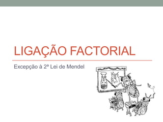 LIGAÇÃO FACTORIAL
Excepção à 2ª Lei de Mendel
 