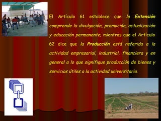 El Artículo 61 establece que  la  Extensión  comprende la divulgación, promoción, actualización y educación permanente ; mientras que el Artículo 62 dice que  la  Producción  está referida a la actividad empresarial, industrial, financiera y en general a lo que signifique producción de bienes y servicios útiles a la actividad universitaria. 