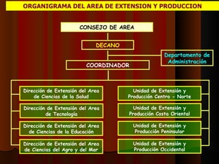 ORGANIGRAMA DEL AREA DE EXTENSION Y PRODUCCION CONSEJO DE AREA DECANO COORDINADOR Departamento de Administración Dirección de Extensión del Area de Ciencias de la Salud Dirección de Extensión del Area de Tecnología Dirección de Extensión del Area de Ciencias de la Educación Dirección de Extensión del Area de Ciencias del Agro y del Mar Unidad de Extensión y Producción Centro - Norte Unidad de Extensión y Producción Costa Oriental Unidad de Extensión y Producción Peninsular Unidad de Extensión y Producción Occidental 