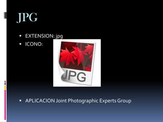 JPG
 EXTENSION: jpg
 ICONO:




 APLICACION Joint Photographic Experts Group
 