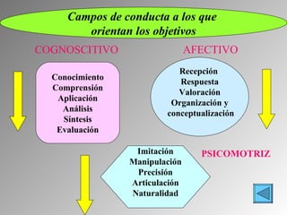 Campos de conducta a los que  orientan los objetivos Conocimiento Comprensión Aplicación Análisis Síntesis Evaluación Recepción  Respuesta Valoración Organización y conceptualización Imitación Manipulación Precisión Articulación Naturalidad COGNOSCITIVO AFECTIVO PSICOMOTRIZ 