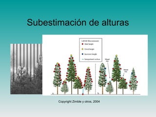 Subestimación de alturas
Copyright Zimble y otros, 2004
 