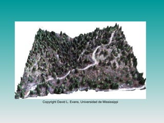 Copyright David L. Evans, Universidad de Mississippi
 