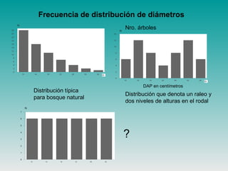 Frecuencia de distribución de diámetros
Distribución típica
para bosque natural
Distribución que denota un raleo y
dos niveles de alturas en el rodal
?
DAP en centímetros
Nro. árboles
 