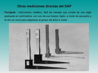 Otras mediciones directas del DAP
Forcípula : Instrumento metálico, fácil de manejar que consta de una regla
graduada en centímetros, con uno de sus brazos rígido, a modo de escuadra y
el otro es móvil para adaptarse al grosor del árbol a medir.
 