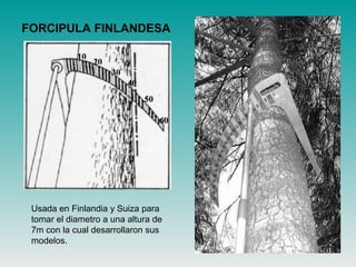 FORCIPULA FINLANDESA
10
20
30
40
50
60
Usada en Finlandia y Suiza para
tomar el diametro a una altura de
7m con la cual desarrollaron sus
modelos.
 