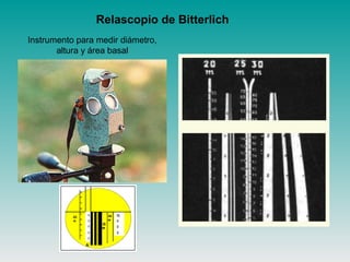 Relascopio de Bitterlich
Instrumento para medir diámetro,
altura y área basal
 