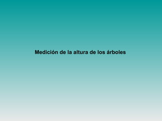 Medición de la altura de los árboles
 
