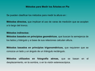 Métodos para Medir los Árboles en Pie
Se pueden clasificar los métodos para medir la altura en :
Métodos directos, que implican el uso de varas de medición que se acoplan
a lo largo del tronco.
Métodos indirectos:
Métodos basados en principios geométricos, que buscan la semejanza de
los lados y triángulo y a base de sus relaciones calculan altura.
Métodos basados en principios trigonométricos, que requieren que se
conozca un lado y un ángulo de un triángulo rectángulo.
Métodos utilizados en fotografía aéreas, que se basan en el
desplazamiento, en la sombra, o en la visión estereoscópica.
 