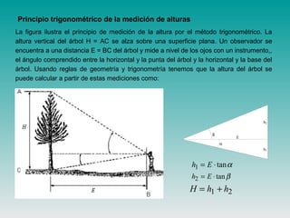 La figura ilustra el principio de medición de la altura por el método trigonométrico. La
altura vertical del árbol H = AC se alza sobre una superficie plana. Un observador se
encuentra a una distancia E = BC del árbol y mide a nivel de los ojos con un instrumento,,
el ángulo comprendido entre la horizontal y la punta del árbol y la horizontal y la base del
árbol. Usando reglas de geometría y trigonometría tenemos que la altura del árbol se
puede calcular a partir de estas mediciones como:
β
α
E
h2
h1
h E2 = ⋅tanβ
H h h= +1 2
h E1 = ⋅tanα
Principio trigonométrico de la medición de alturas
 