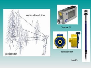 transponder
ondas ultrasónicas
Vertex IV
transponder
bastón
 