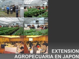 EXTENSION
AGROPECUARIA EN JAPON
 