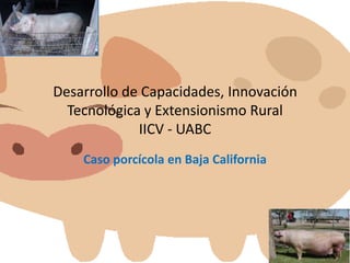 Desarrollo de Capacidades, Innovación
  Tecnológica y Extensionismo Rural
             IICV - UABC
    Caso porcícola en Baja California
 