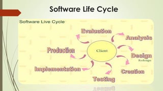 Software Life Cycle
 