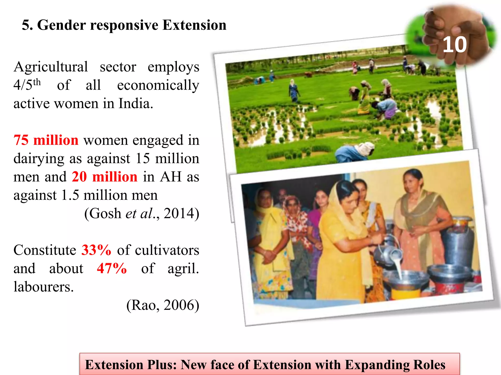 Agricultural sector employs
4/5th of all economically
active women in India.
75 million women engaged in
dairying as against 15 million
men and 20 million in AH as
against 1.5 million men
(Gosh et al., 2014)
Constitute 33% of cultivators
and about 47% of agril.
labourers.
(Rao, 2006)
5. Gender responsive Extension
Extension Plus: New face of Extension with Expanding Roles
10
 