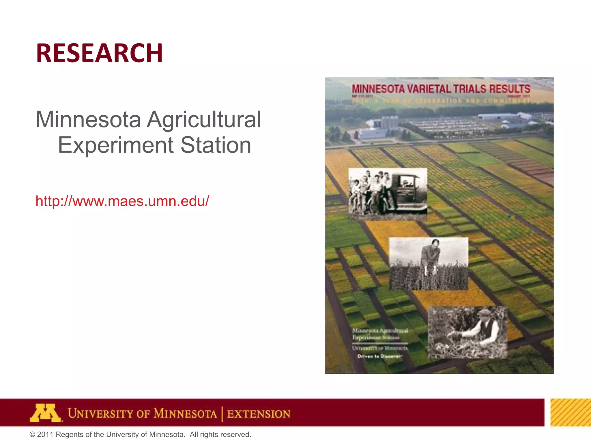 Minnesota Agricultural Experiment Station http://www.maes.umn.edu/   RESEARCH 