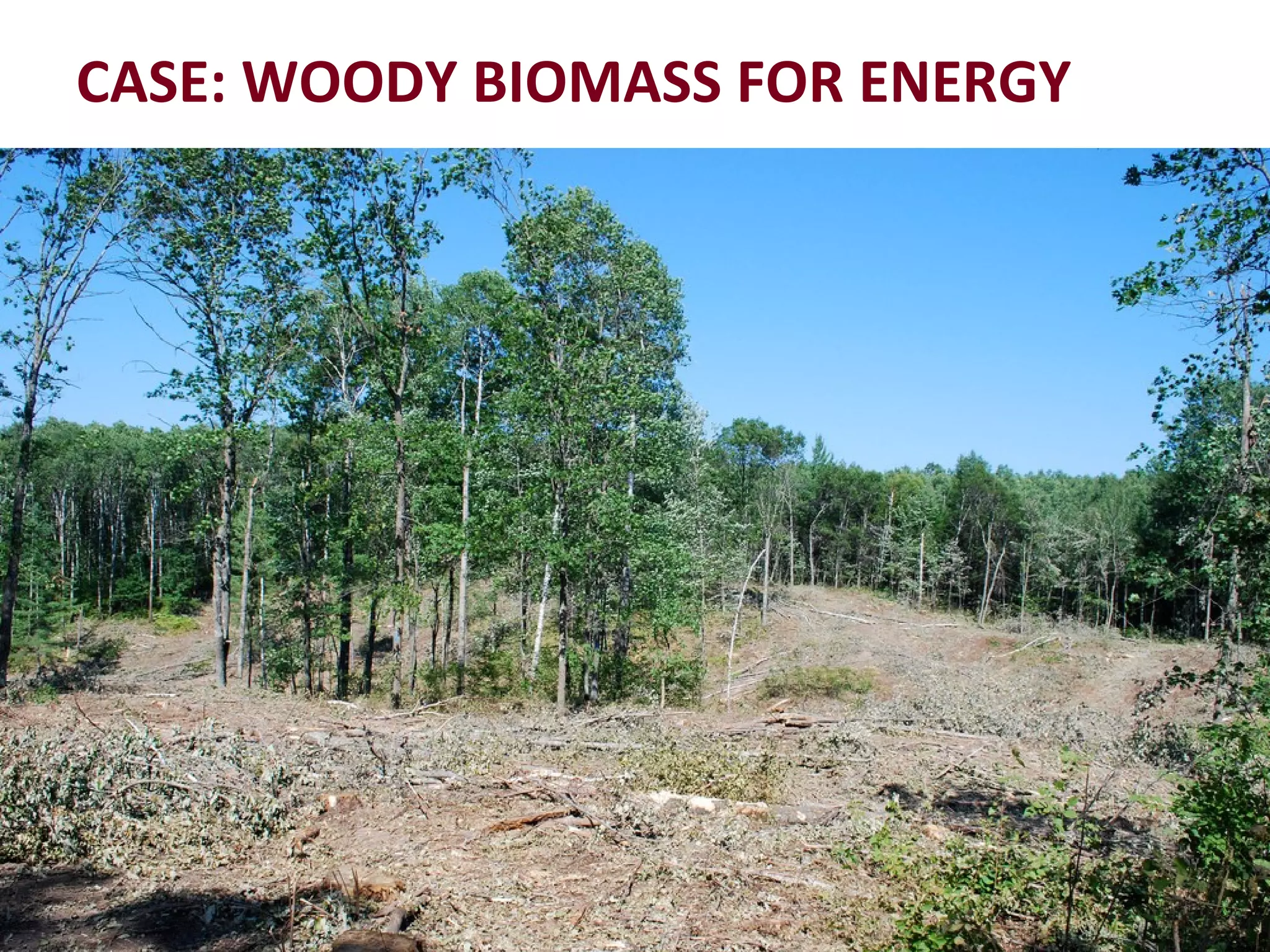 CASE: WOODY BIOMASS FOR ENERGY 