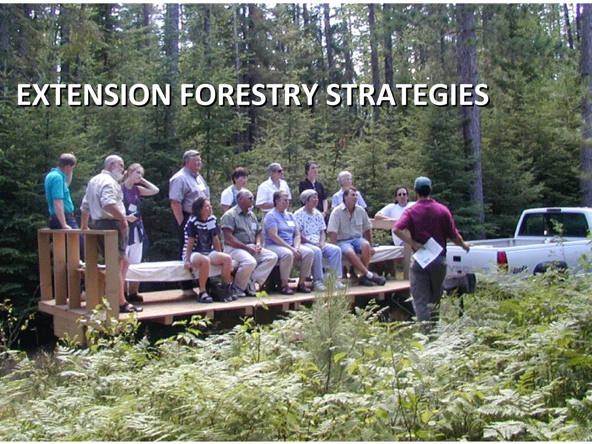 WORKSHOPS EXTENSION FORESTRY STRATEGIES  