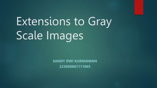 Extensions to Gray
Scale Images
SANDY DWI KURNIAWAN
223060601111003
 