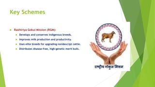 Key Schemes
 Rashtriya Gokul Mission (RGM):
 Develops and conserves indigenous breeds.
 Improves milk production and productivity.
 Uses elite breeds for upgrading nondescript cattle.
 Distributes disease-free, high-genetic merit bulls.
 