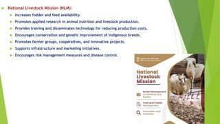  National Livestock Mission (NLM):
 Increases fodder and feed availability.
 Promotes applied research in animal nutrition and livestock production.
 Provides training and disseminates technology for reducing production costs.
 Encourages conservation and genetic improvement of indigenous breeds.
 Promotes farmer groups, cooperatives, and innovative projects.
 Supports infrastructure and marketing initiatives.
 Encourages risk management measures and disease control.
 
