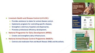  Livestock Health and Disease Control (LH & DC):
 Provides assistance to states for animal disease control.
 Implements programs for controlling specific diseases.
 Strengthens veterinary hospitals and dispensaries.
 Promotes professional efficiency development.
 National Programme for Dairy Development (NPDD):
 Creates and strengthens dairy infrastructure.
 National Animal Disease Control Programme (NADCP):
 Controls and eradicates Foot and Mouth Disease (FMD) and Brucellosis.
 