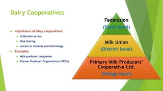 Dairy Cooperatives
 Importance of dairy cooperatives:
 Collective action
 Risk sharing
 Access to markets and technology
 Examples:
 Milk producer companies
 Farmer Producer Organisations (FPOs)
 