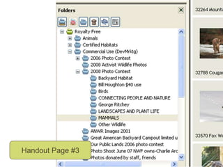 What problems are the most important?