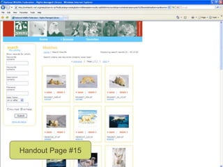 Presentation OutlineInitiating your DAM ProjectEvaluating SolutionsImplementing DAMDaily use of DAMMaintenance16