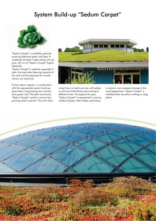 8
System Build-up “Sedum Carpet”
ming time is in early summer, with yellow
or red and white flowers dominating at
different times. Throughout the year,
“Sedum Carpet“ is represented in various
shades of green. Red shades, particulary
in autumn, are a pleasant change in the
visual appearance. “Sedum Carpet“ is
installed either by sedum cuttings or plug
plants.
“Sedum Carpet“ is a shallow, ground-
covering extensive green roof type. In
moderate climates, it gets along with ap-
prox. 60 mm of “Sedum Carpet“ System
Substrate.
“Sedum Carpet“ is applied, especially if
both, the load often bearing capacity of
the roof and the expenses for mainte-
nance, are restrictive.
Proven sedum species, in combination
with the appropriate system build-up,
guarantee a long-lasting low mainten-
ance green roof. The plant community
“Sedum Carpet“ contains various low-
growing sedum species. The main bloo-
8888888888888888888888888888888888888888888888888888888
 