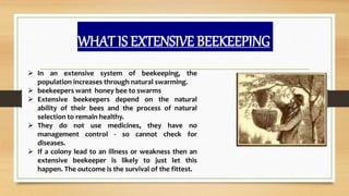 WHAT IS EXTENSIVE BEEKEEPING
 In an extensive system of beekeeping, the
population increases through natural swarming.
 beekeepers want honey bee to swarms
 Extensive beekeepers depend on the natural
ability of their bees and the process of natural
selection to remain healthy.
 They do not use medicines, they have no
management control - so cannot check for
diseases.
 If a colony lead to an illness or weakness then an
extensive beekeeper is likely to just let this
happen. The outcome is the survival of the fittest.
 