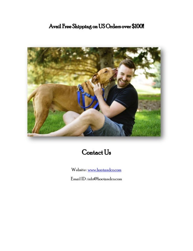 dog accessories $100