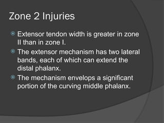 extensorapparatusofhandinjuries-150930153748-lva1-app6892.pptx