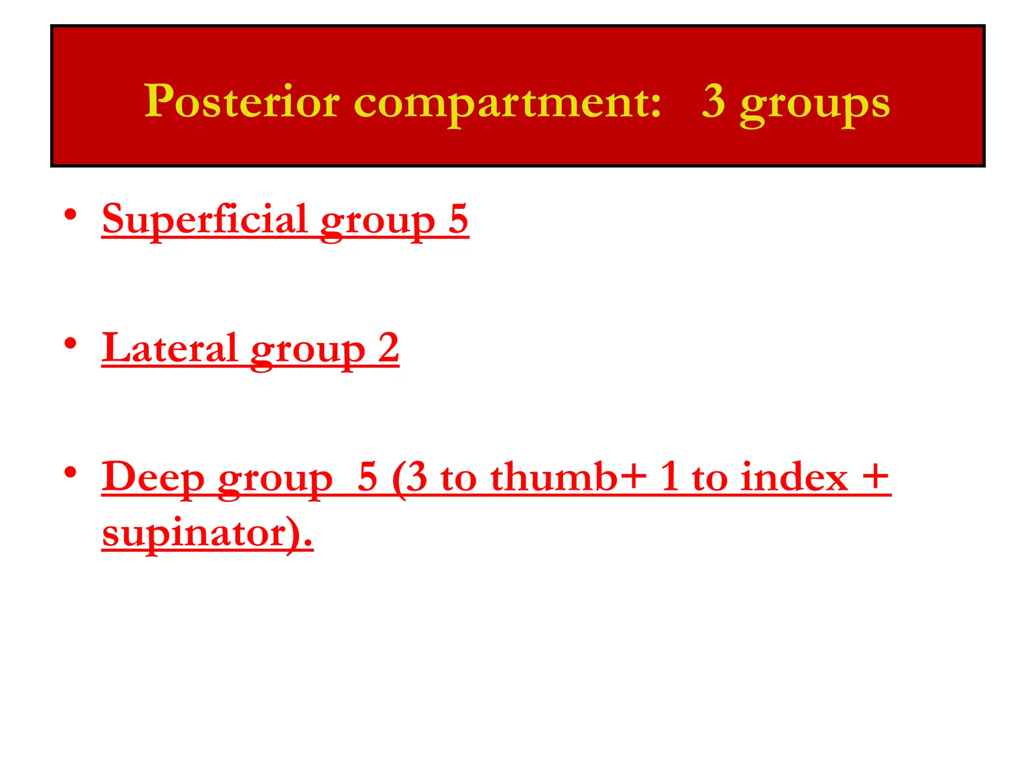 EXTENSOR OR ANTERIOR COMPARTMENT OF FOREARM.pptx
