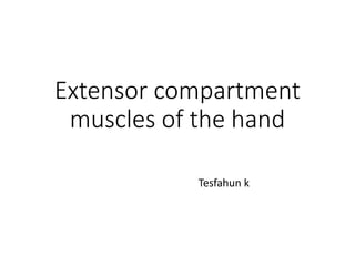 Extensor compartment
muscles of the hand
Tesfahun k
 