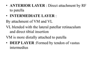• ANTERIOR LAYER : Direct attachment by RF
to patella
• INTERMEDIATE LAYER :
By attachment of VM and VL
VL blended with the lateral patellar retinaculum
and direct tibial insertion
VM is more distally attached to patella
• DEEP LAYER :Formed by tendon of vastus
intermedius
 