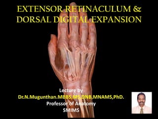 EXTENSOR RETINACULUM &
DORSAL DIGITAL EXPANSION
Lecture by
Dr.N.Mugunthan.MBBS,MS,DNB,MNAMS,PhD.
Professor of Anatomy
SMIMS
 