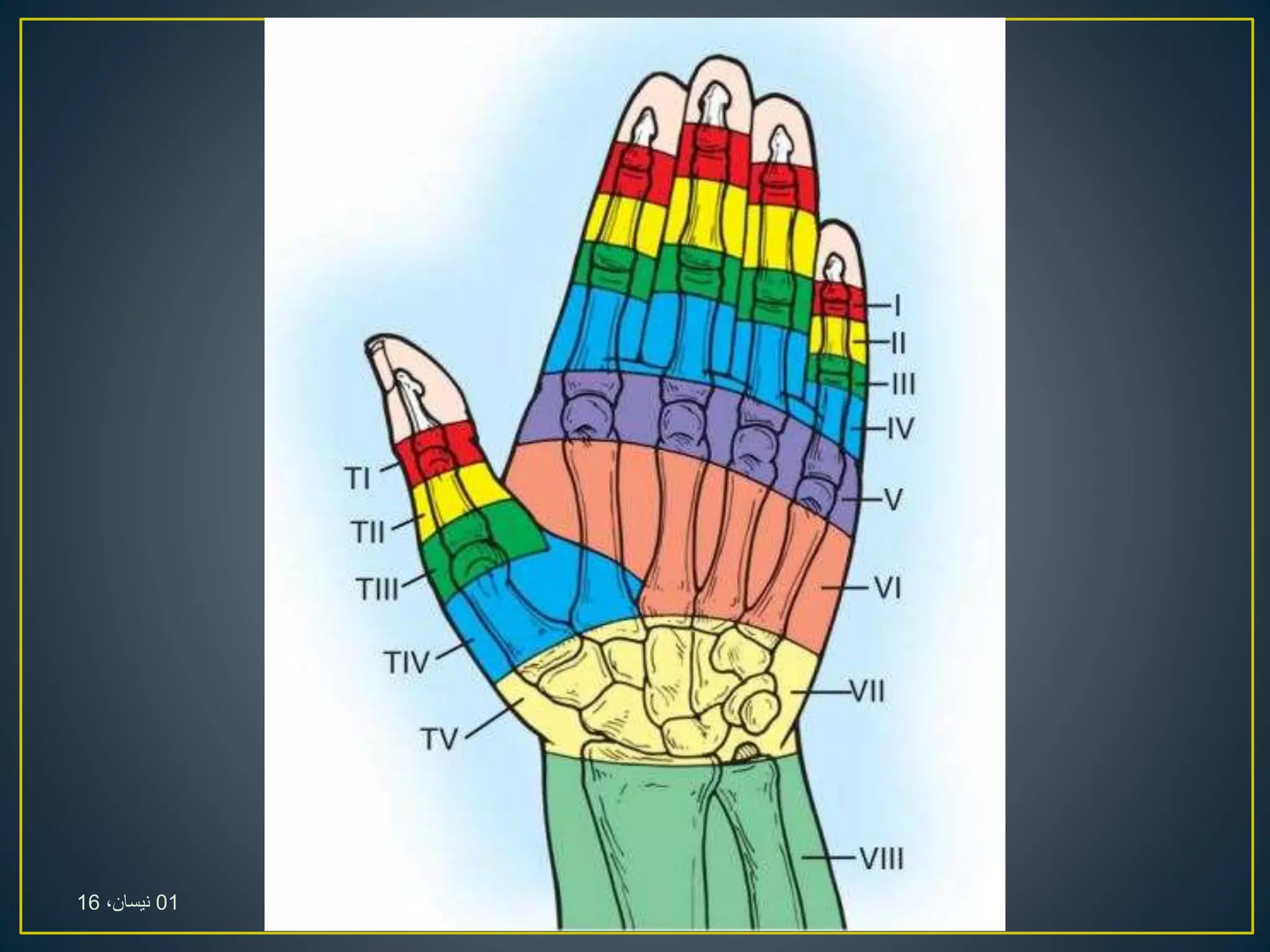 01،‫نيسان‬16
 