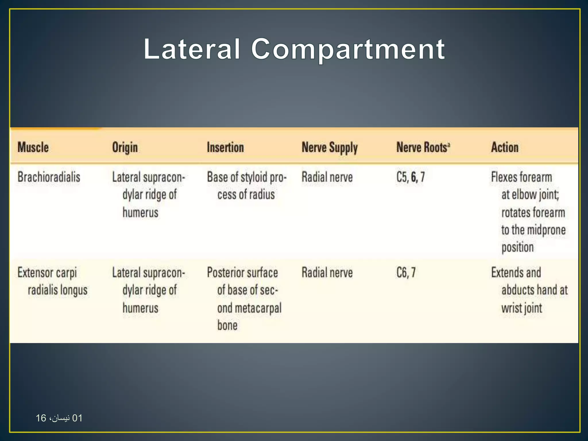 01،‫نيسان‬16
 