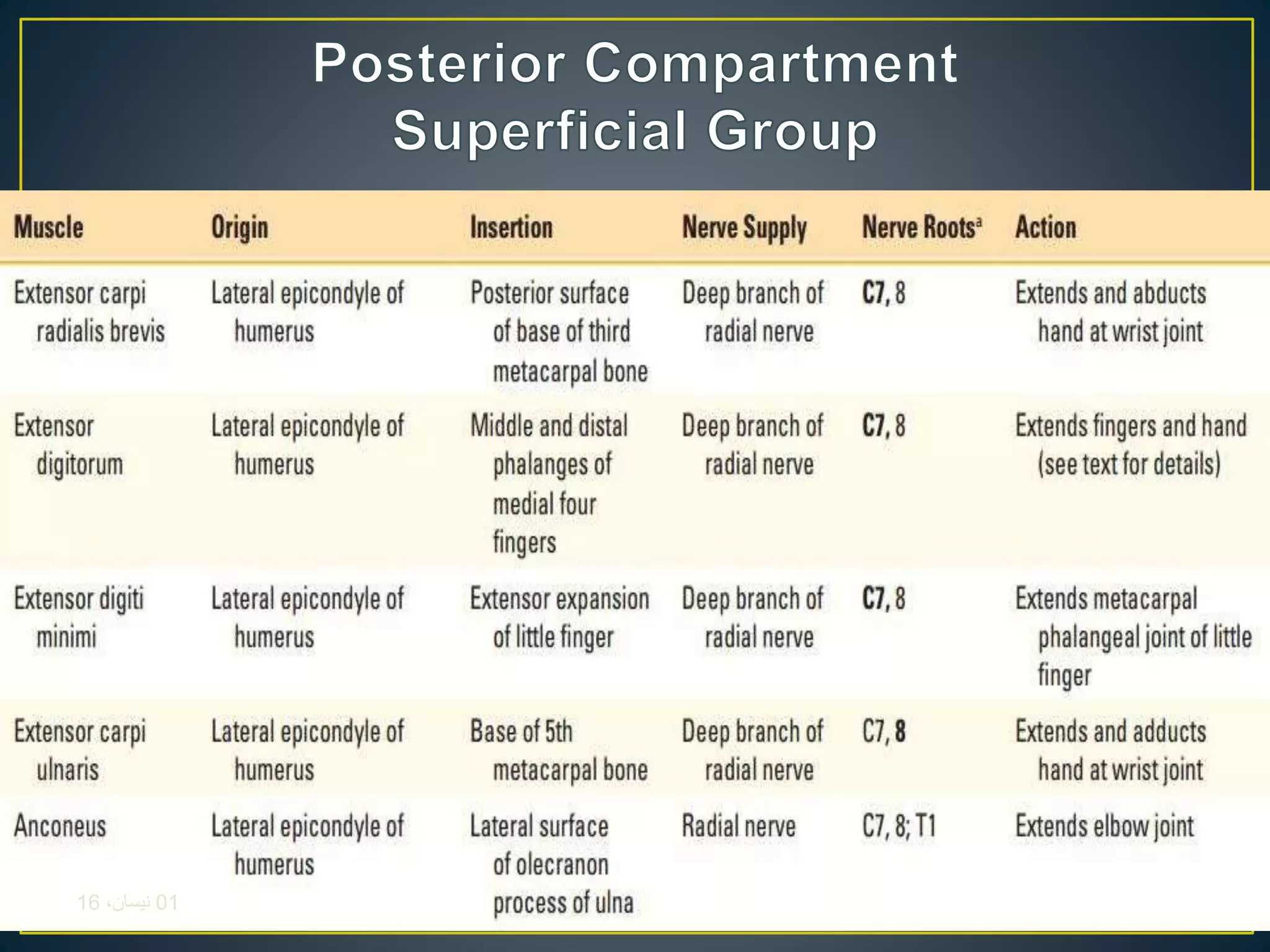01،‫نيسان‬16
 