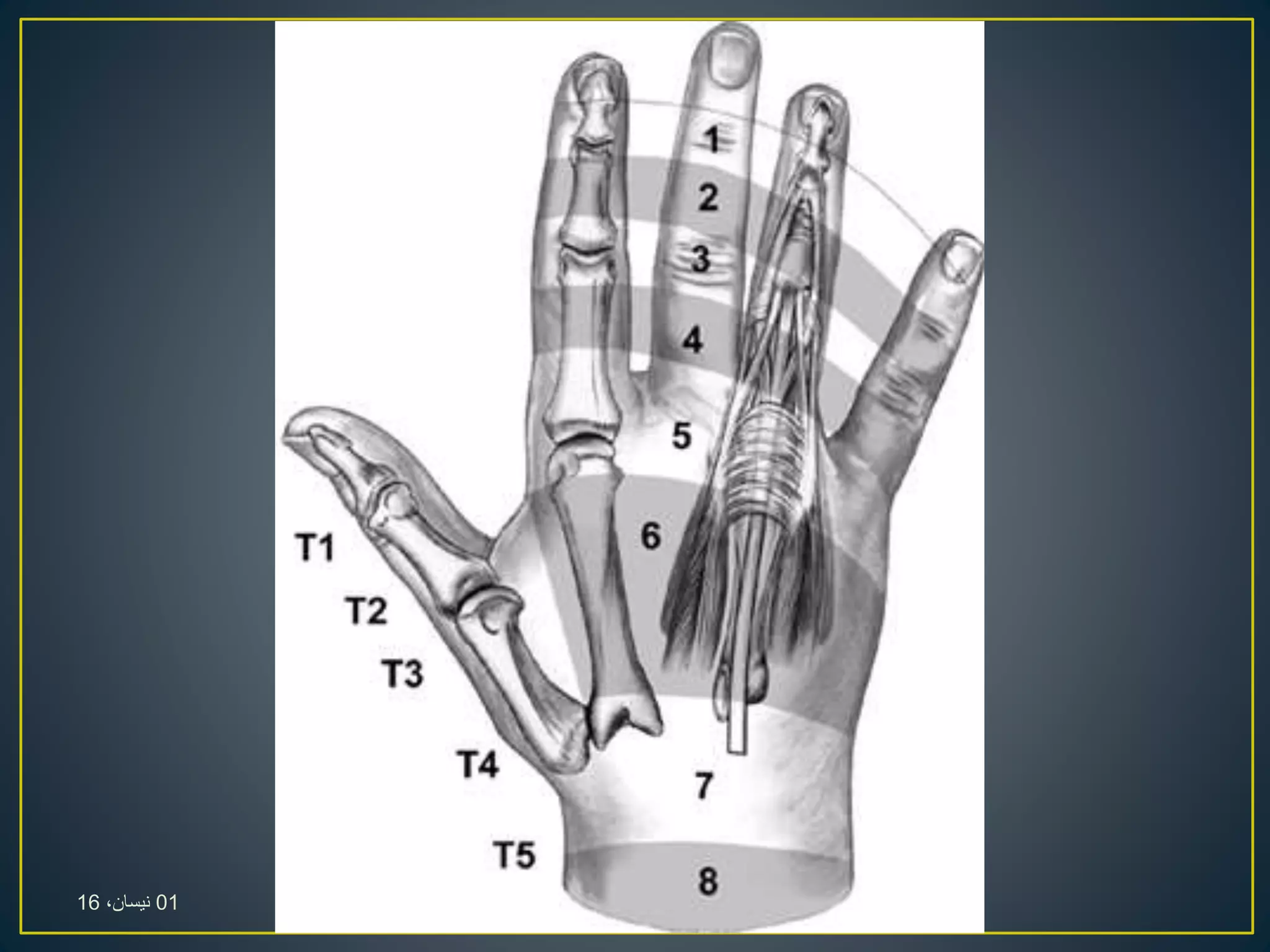 01،‫نيسان‬16
 