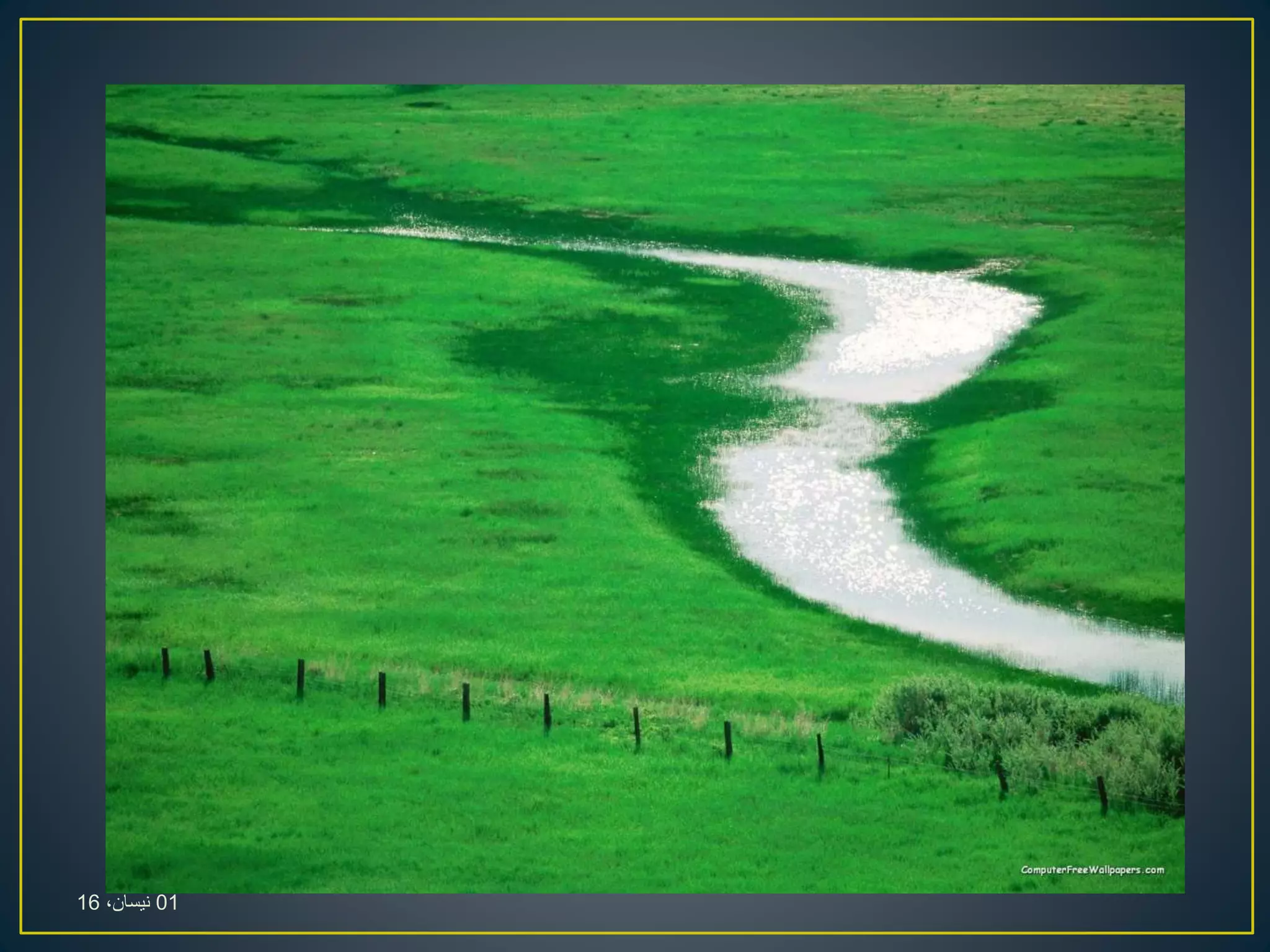 01،‫نيسان‬16
 