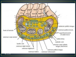 01،‫نيسان‬16
 