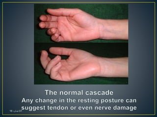 01،‫نيسان‬16
 