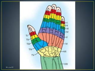 01،‫نيسان‬16
 