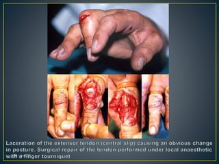 01،‫نيسان‬16
 