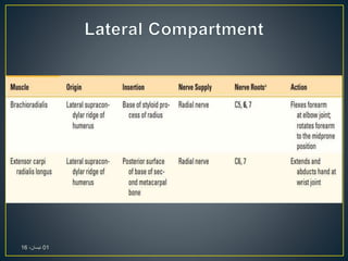 01،‫نيسان‬16
 