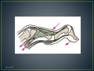 01،‫نيسان‬16
 