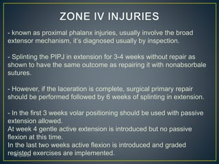 - known as proximal phalanx injuries, usually involve the broad
extensor mechanism, it’s diagnosed usually by inspection.
- Splinting the PIPJ in extension for 3-4 weeks without repair as
shown to have the same outcome as repairing it with nonabsorbale
sutures.
- However, if the laceration is complete, surgical primary repair
should be performed followed by 6 weeks of splinting in extension.
- In the first 3 weeks volar positioning should be used with passive
extension allowed.
At week 4 gentle active extension is introduced but no passive
flexion at this time.
In the last two weeks active flexion is introduced and graded
resisted exercises are implemented.01،‫نيسان‬16
 